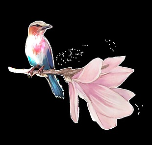 手绘一只小鸟站在粉红色花旁png透明素材