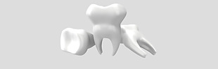 白色牙齿模型免抠psd透明素材