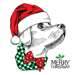 戴圣诞帽子的可爱小狗插画