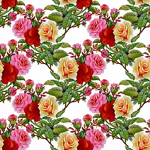 浪漫唯美的三色玫瑰花背景