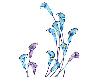 手绘蓝色花朵元素