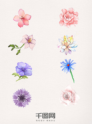 8款水彩植物花朵素材