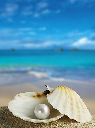 沙滩珍珠背景