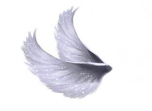 灰色的翅膀png元素素材