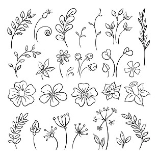 黑白手绘清新花朵植物图案