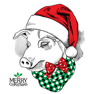 趣味可爱的圣诞小猪插画