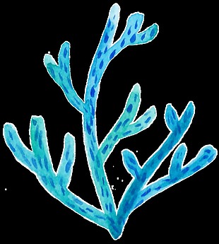 蓝斑珊瑚卡通透明素材