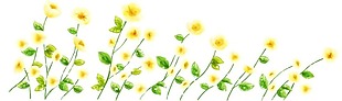 清新黄色花朵元素