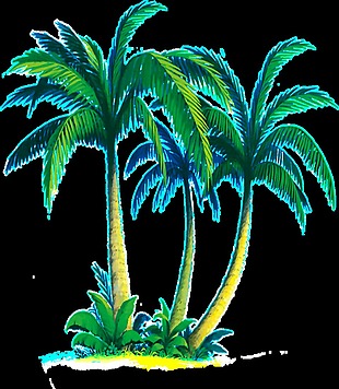 热带椰子树透明素材