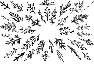黑白手绘植物图案