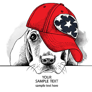 趣味卡通戴帽子的小狗插画