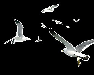 飞翔海鸥卡通透明素材