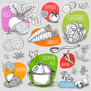手绘各种烹饪蔬菜插画