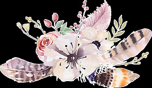 羽毛花朵透明装饰素材