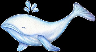 蓝白海豚透明装饰素材
