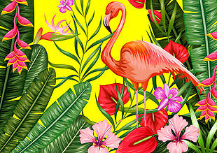 热带植物中美丽的仙鹤插画