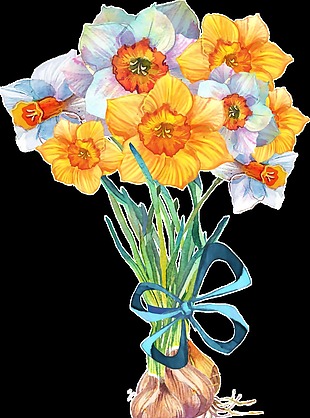 翠黄花从透明装饰素材