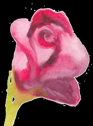 水墨红色玫瑰花透明装饰素材