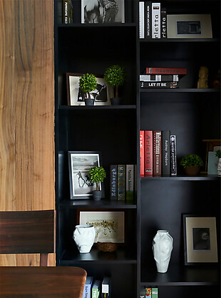 现代时尚客厅黑色质感书架室内装修效果图