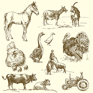 10款手绘农场动物矢量素材
