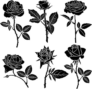黑白时尚艺术玫瑰花图案