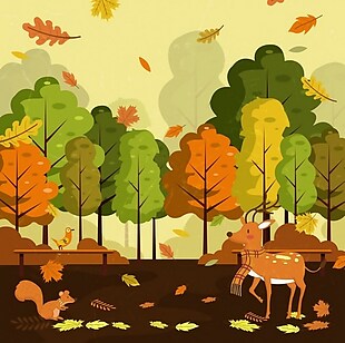 秋天的森林风景背景