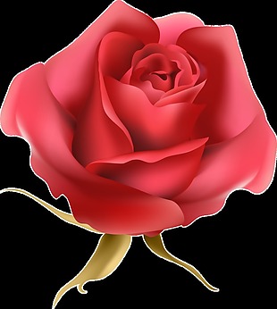 红色玫瑰透明装饰素材
