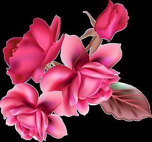 粉色花束透明装饰素材