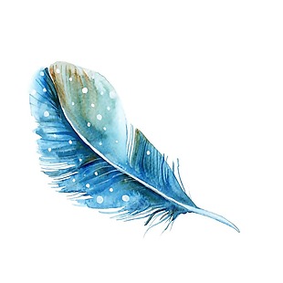 蓝色羽毛png元素