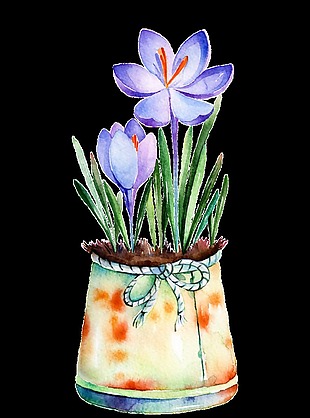 紫馨花瓶透明装饰素材