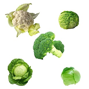 绿色有机蔬菜元素