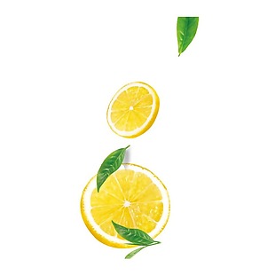 手绘柠檬绿叶元素