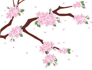 清新粉色樱花装饰元素