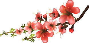 中国风大红色花枝樱花装饰元素