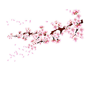 清新风格浅粉色花瓣樱花装饰元素