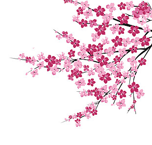 清新风格粉色系花朵樱花装饰元素