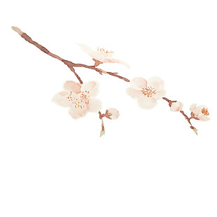 婉约淡粉色花瓣樱花装饰元素
