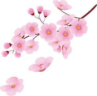清新橘色花蕊樱花装饰元素