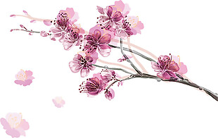 浪漫紫色花瓣樱花装饰元素