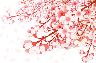 清新浪漫桃红色花瓣樱花装饰元素