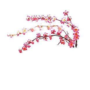 粉色花卉图案PNG