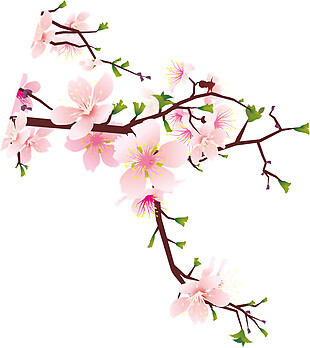 水彩桃花枝图案元素