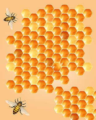 矢量质感蜂蜜蜂巢背景
