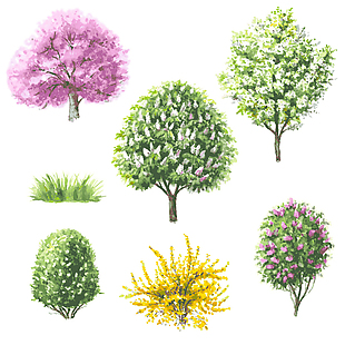 水彩绘植物大树插画