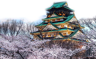灰粉色浪漫樱花日本旅游装饰元素