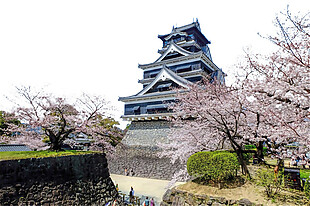清新樱花实景日本旅游装饰元素