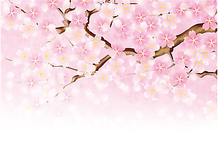 清新浪漫粉色樱花日本旅游装饰元素