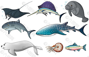 海鱼图片元素设计