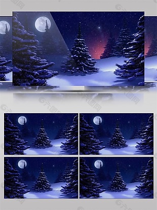圣诞节雪景视频素材