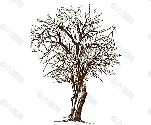 卡通手绘冬天树木png元素